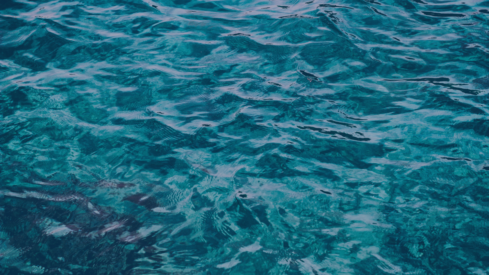 Sea jewerly, collezione mare